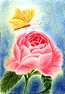 Tafelbild Rose