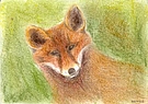 Tafelbild Fuchs